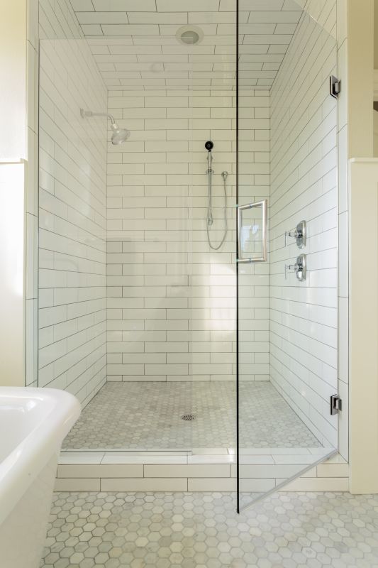 Glass Shower Door